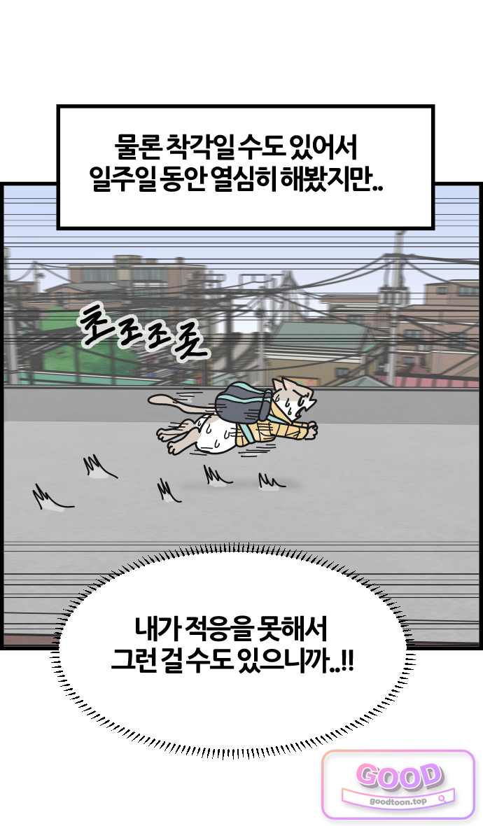 사회초년캣 41화 직감 5