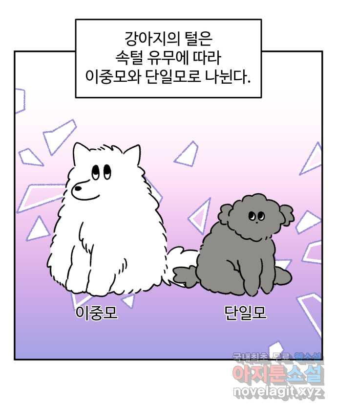 강아지는 멍멍하고 짖지 않아! 57화 - 겨울 산책 6
