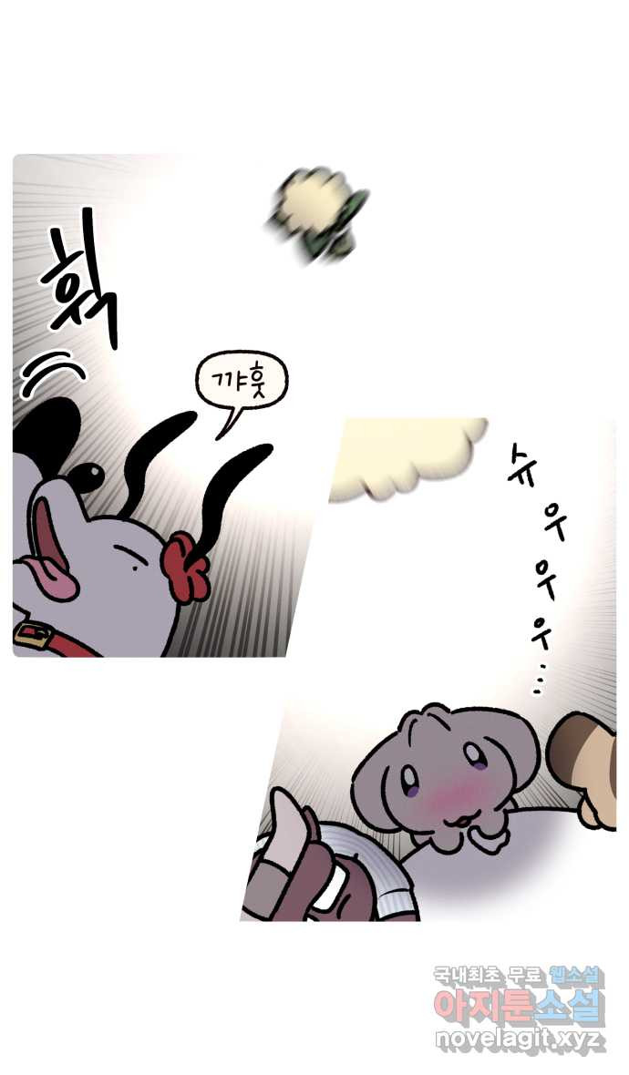 안녕, 나의 수집 109. 부케 (1) 2