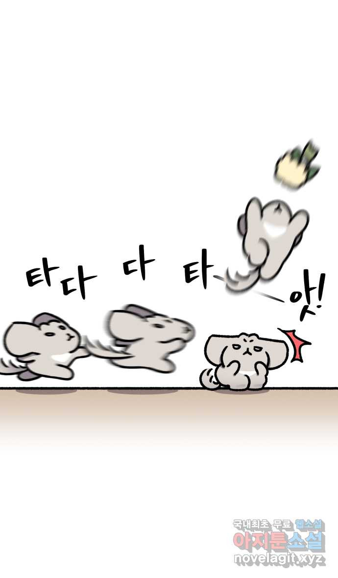 안녕, 나의 수집 109. 부케 (1) 3