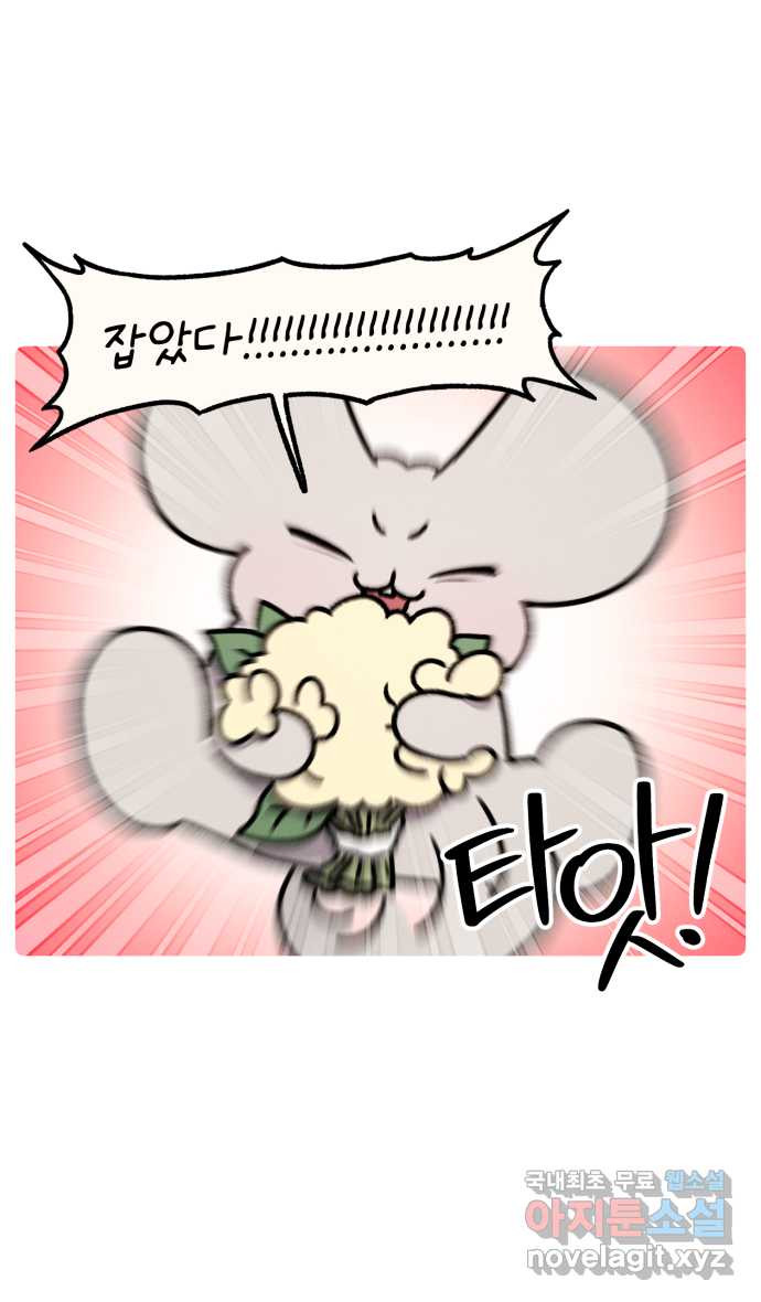 안녕, 나의 수집 109. 부케 (1) 4