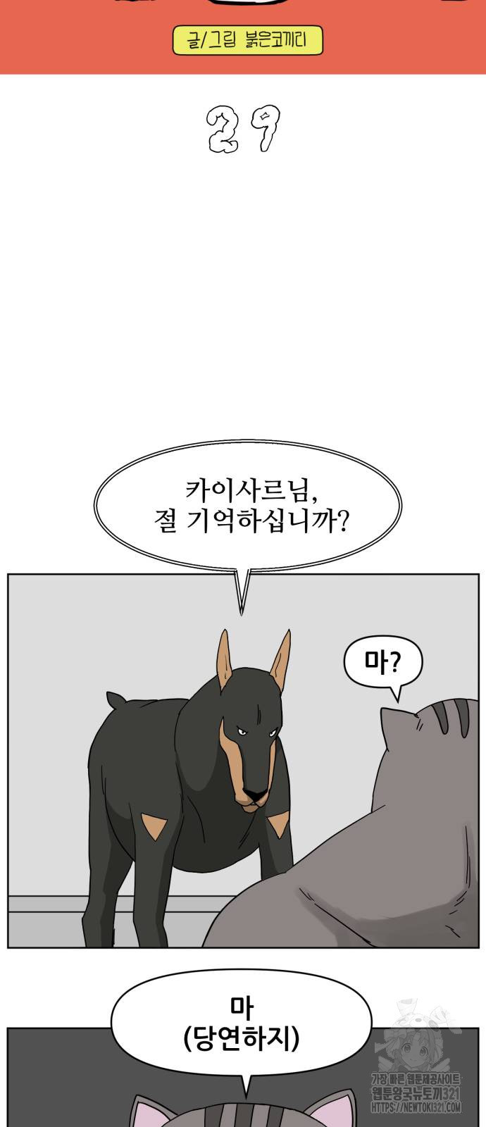 괴양이 29화 8
