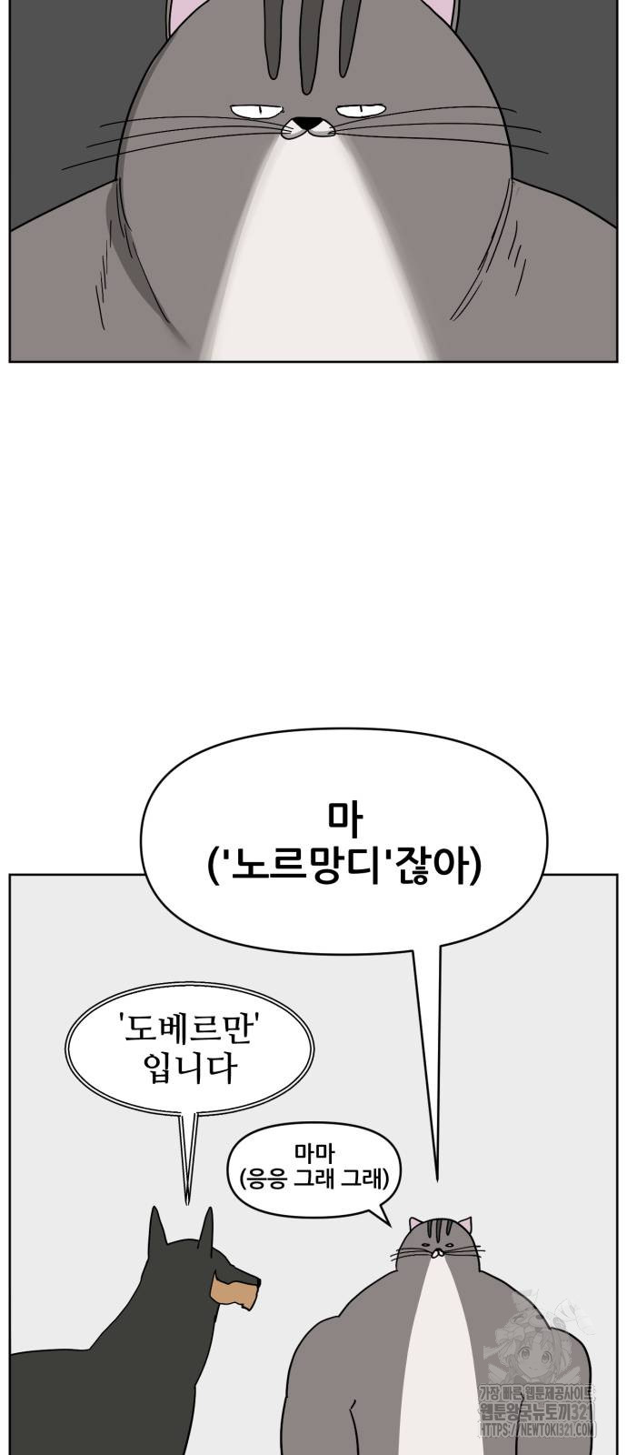 괴양이 29화 9