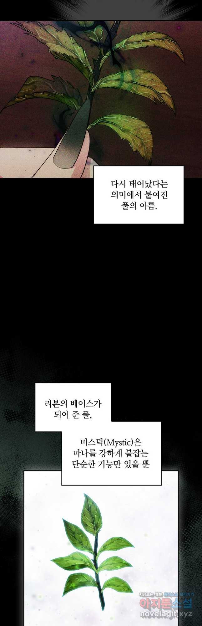 아도니스 241화 9