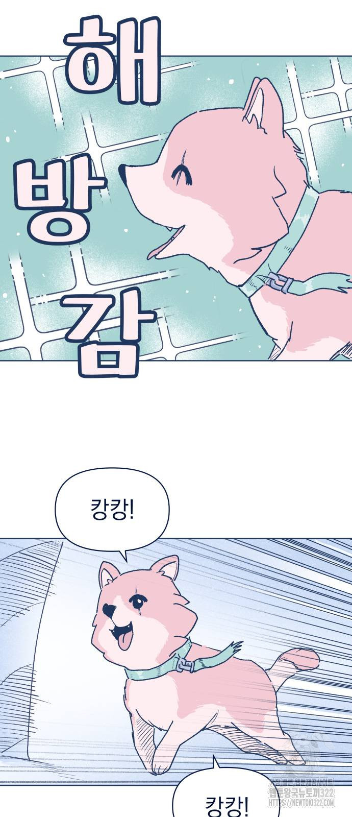 반려짐승 12화 3