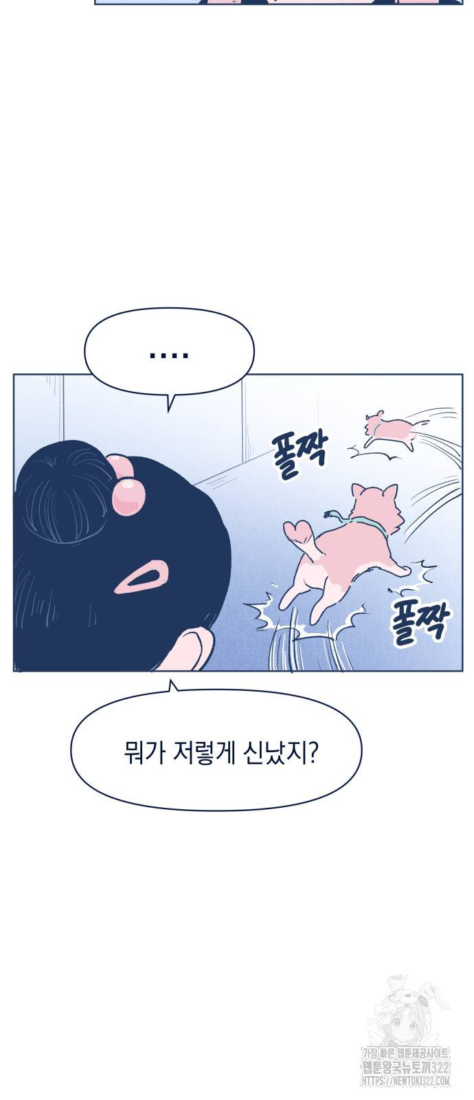 반려짐승 12화 5