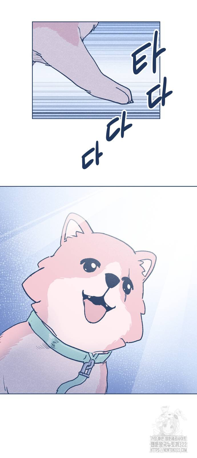 반려짐승 12화 6