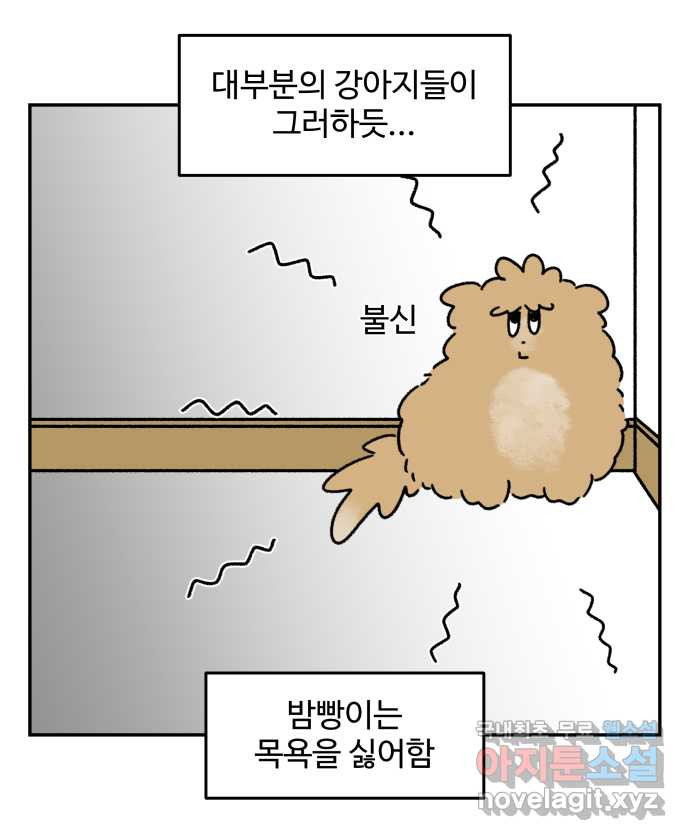 강아지는 멍멍하고 짖지 않아! 63화 - 목욕하는 날 1 15