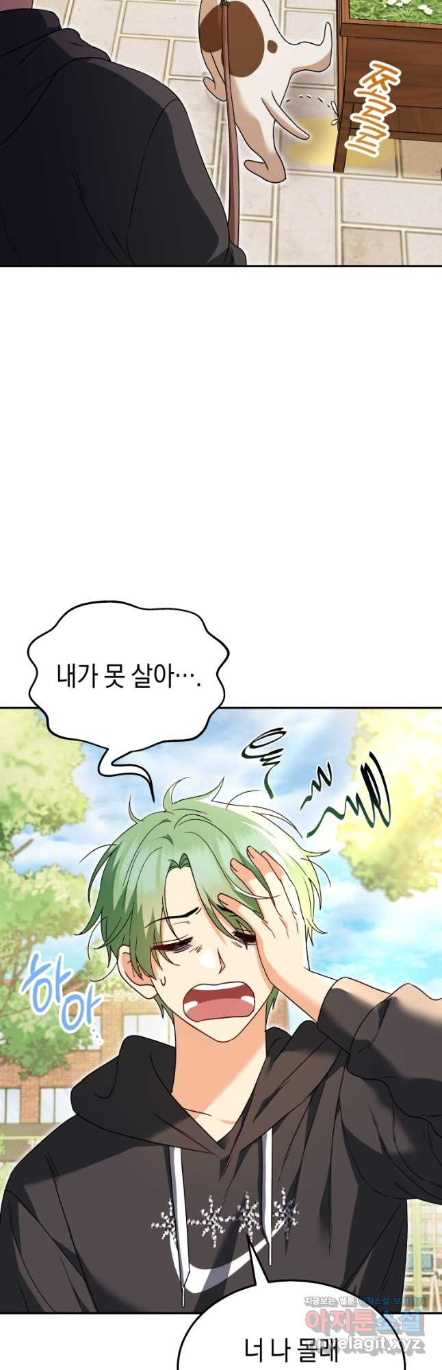 수의사님! 안녕하세요 41화 3