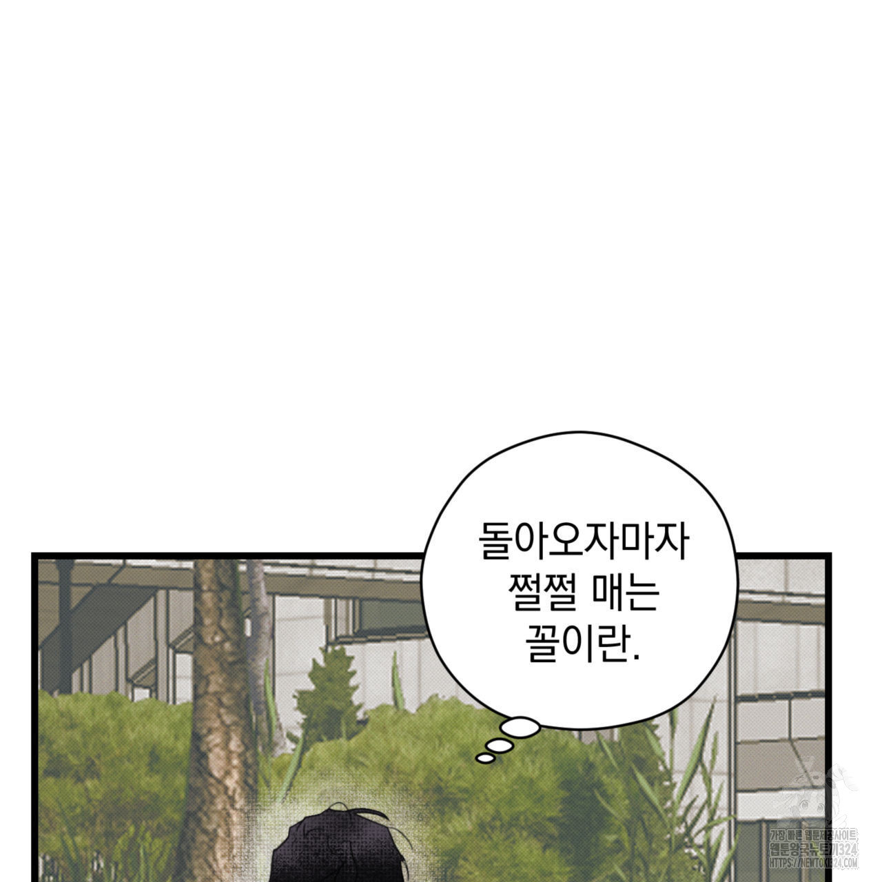 투 마이 발렌타인 (To my valentine) 19화 85