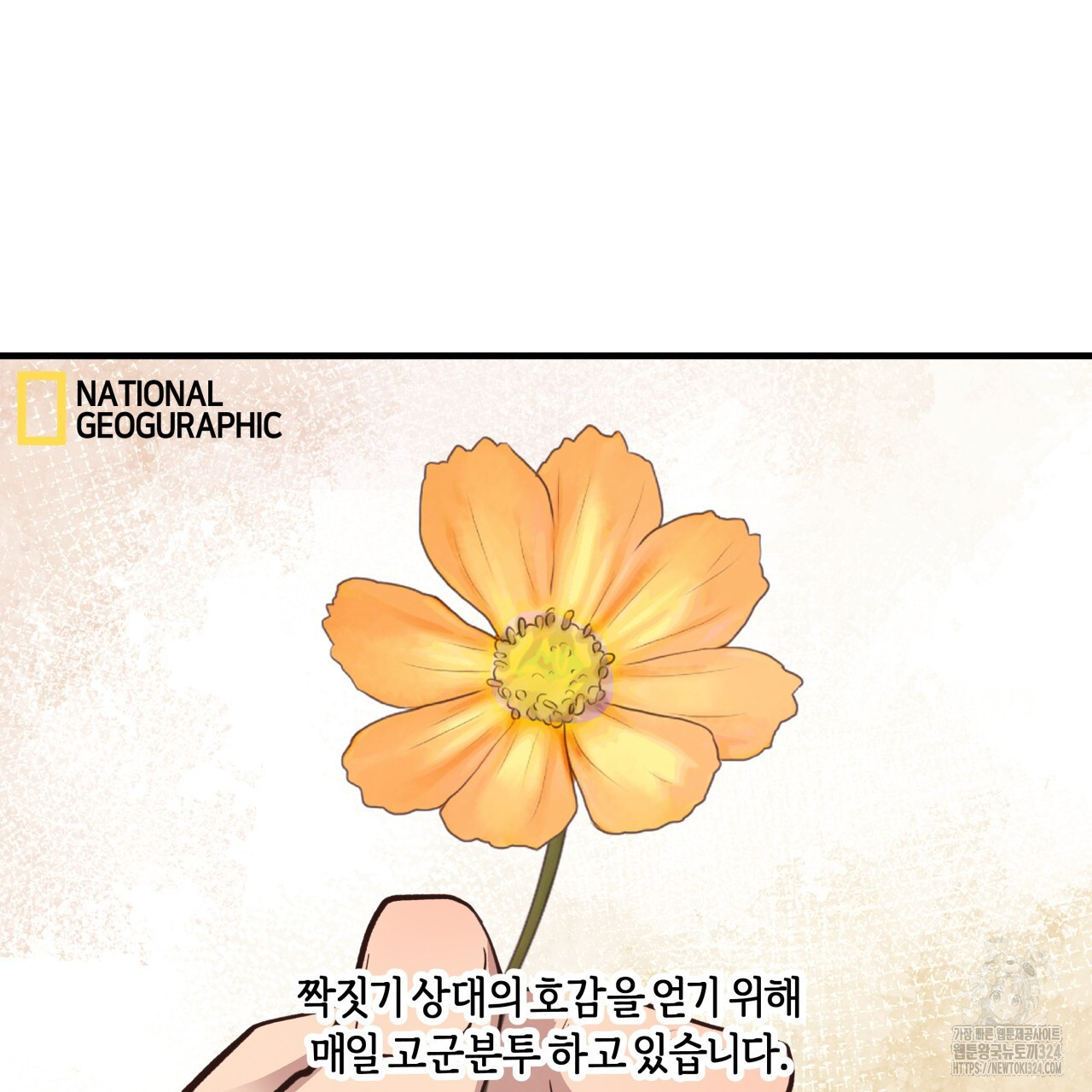 허니 베어 31화 11