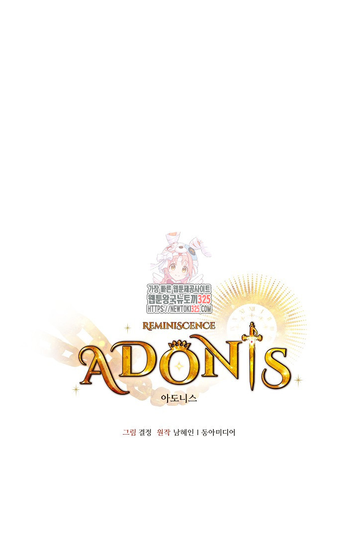 아도니스 242화 1