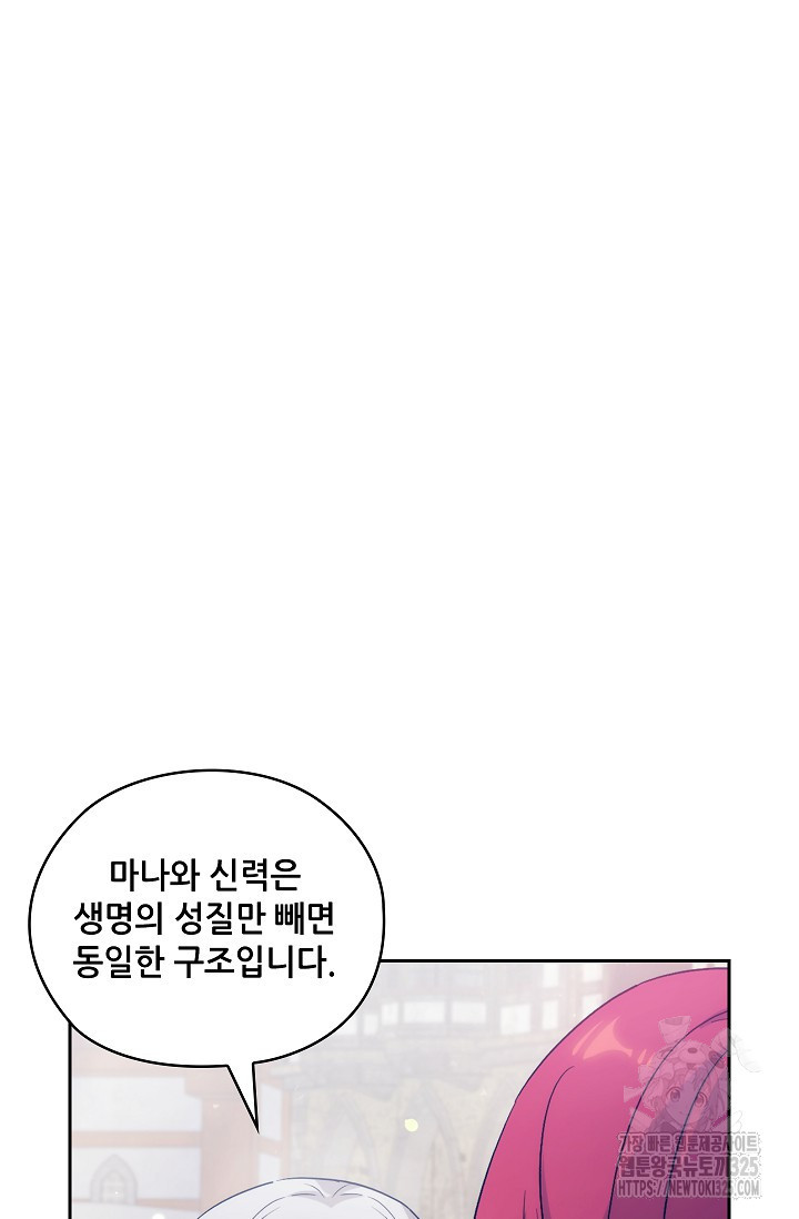 아도니스 242화 2