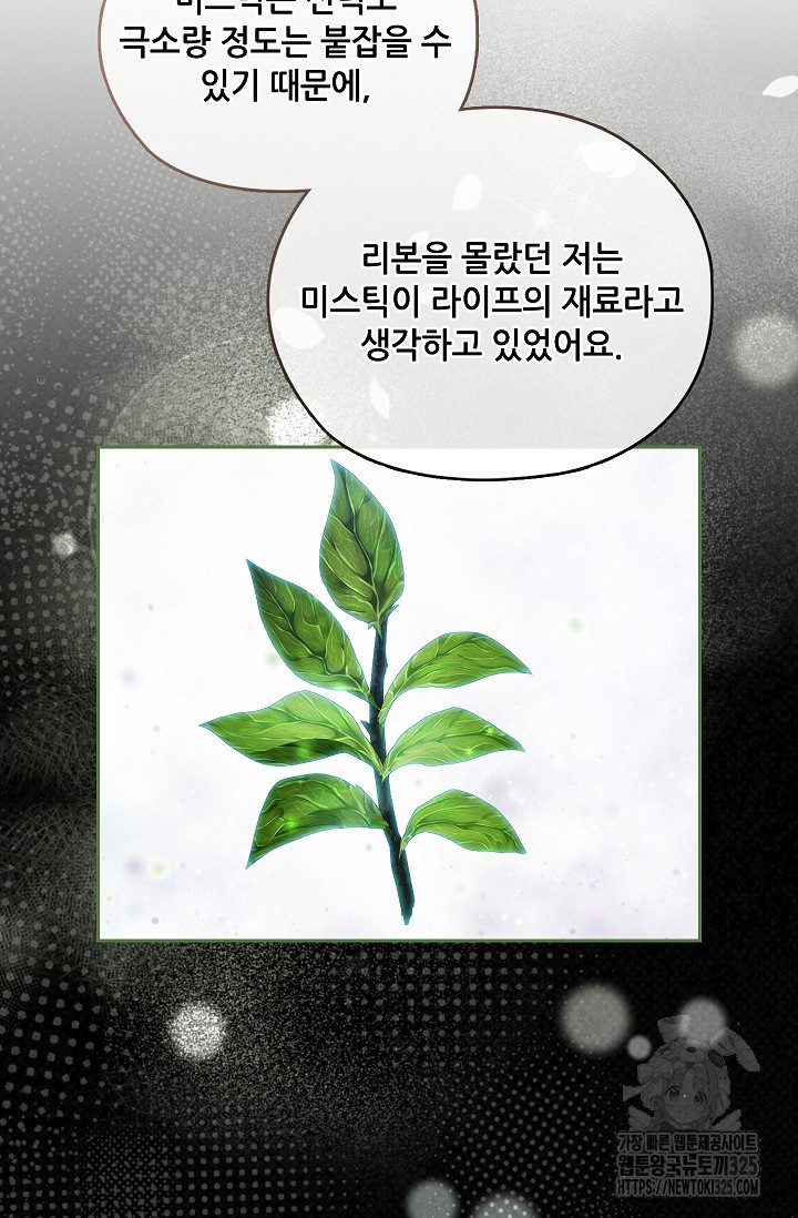 아도니스 242화 4