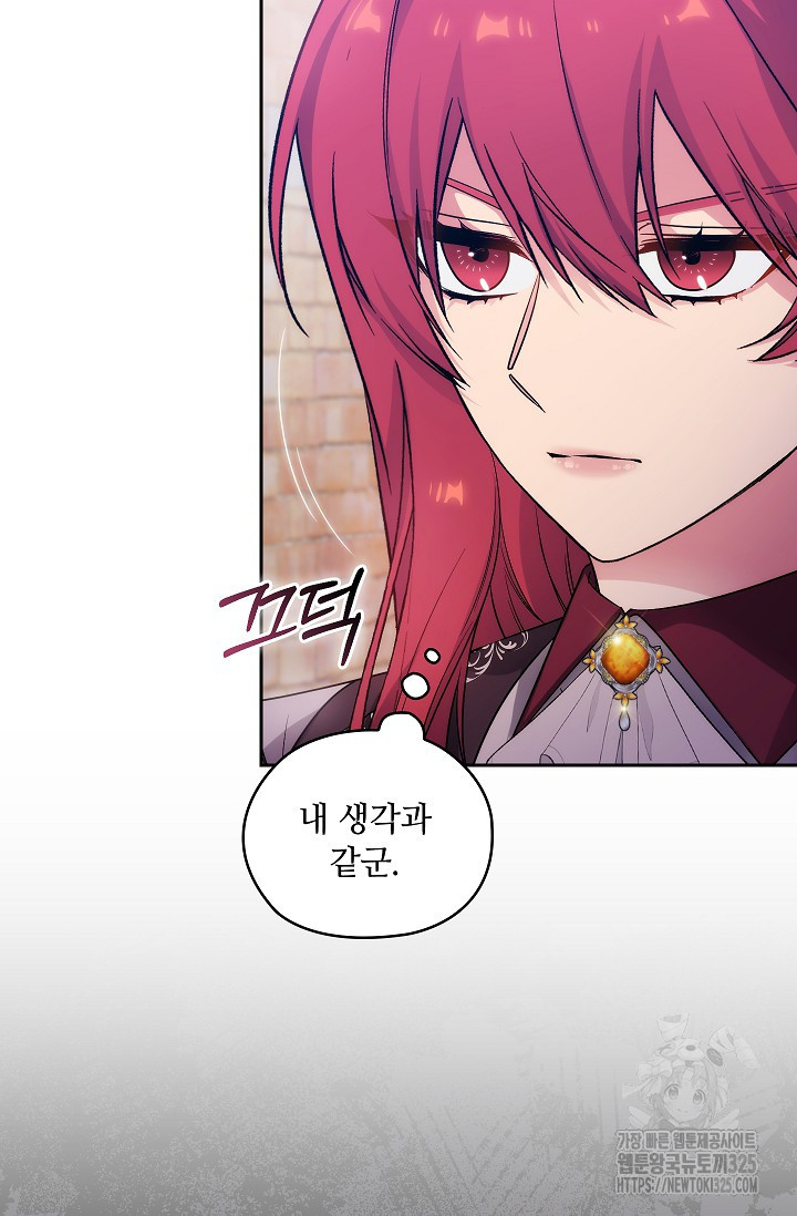 아도니스 242화 20