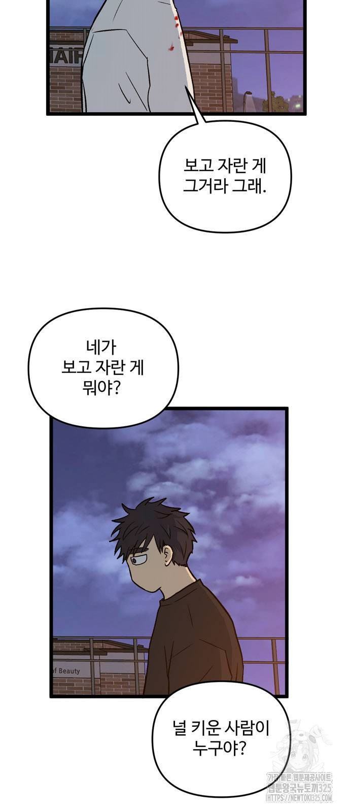 집이 없어 245화 10