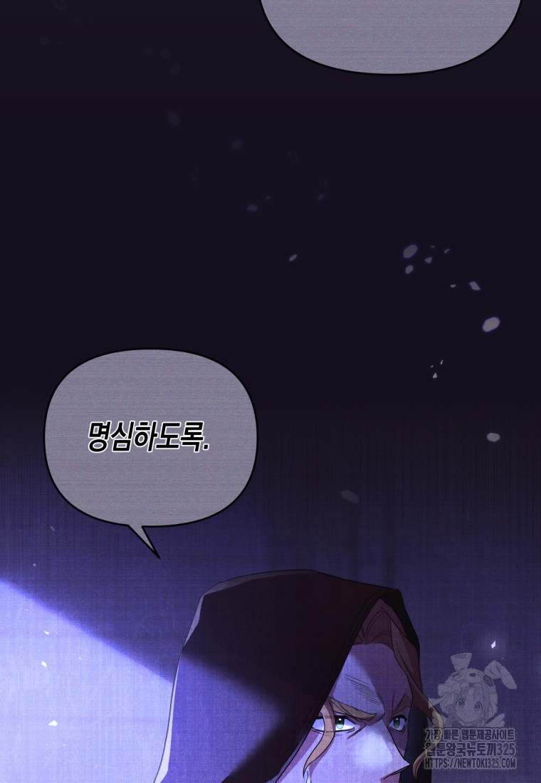 술탄의 귀한 고양이가 되었습니다 41화 9