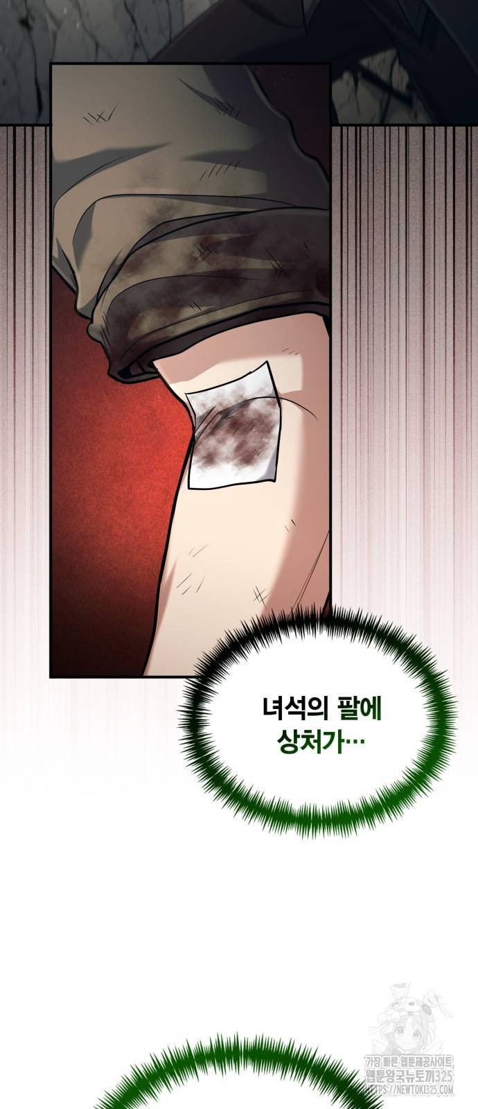 야매 힐러로 사는 법 48화 14