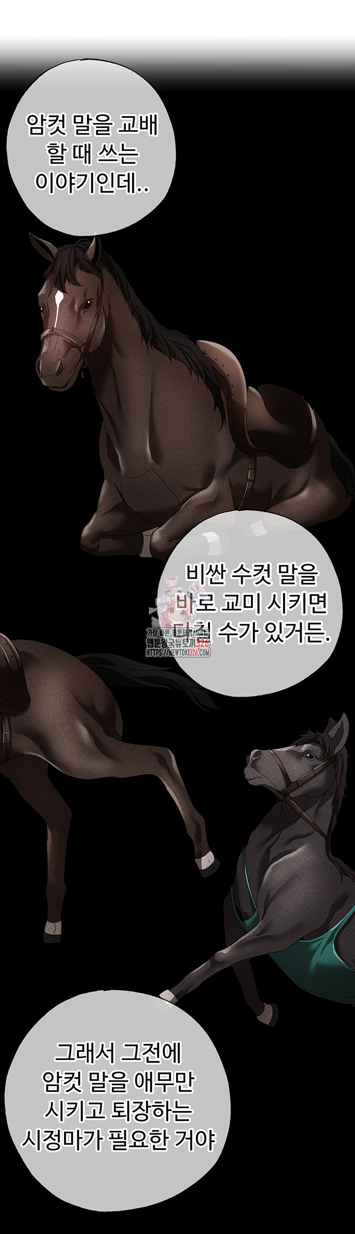 도금태양 42화 1